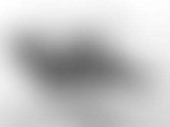 Black and white image of two young grey seals play-fighting in the surf at Horsey Beach on the north Norfolk coast