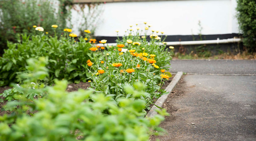 Beautiful gardens at Eden Park Academy