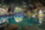Jameos Del Agua Lanzarote