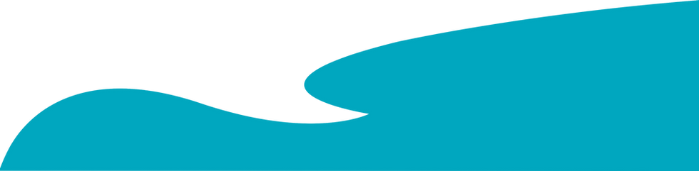 WAVE-2.png
