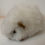 Thumbnail: cuddly toy GUINEA PIG