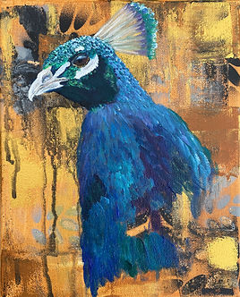 558244230983470540_hoekstra_pretty_as_a_peacock.jpg