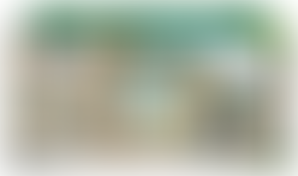 Prévention moustiques : agir ensemble pour un été serein