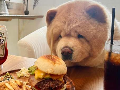 川崎パーソナルジムNOUVSTメソッド【食事の重要性】