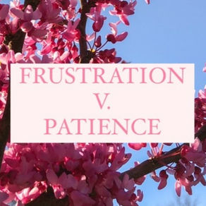 Frustration v. Patience 
