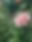 FF4EE311-E69A-45F3-BDF2-17269BC5249D.JPG