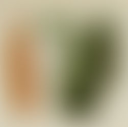 The Melon