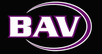 Bavservices