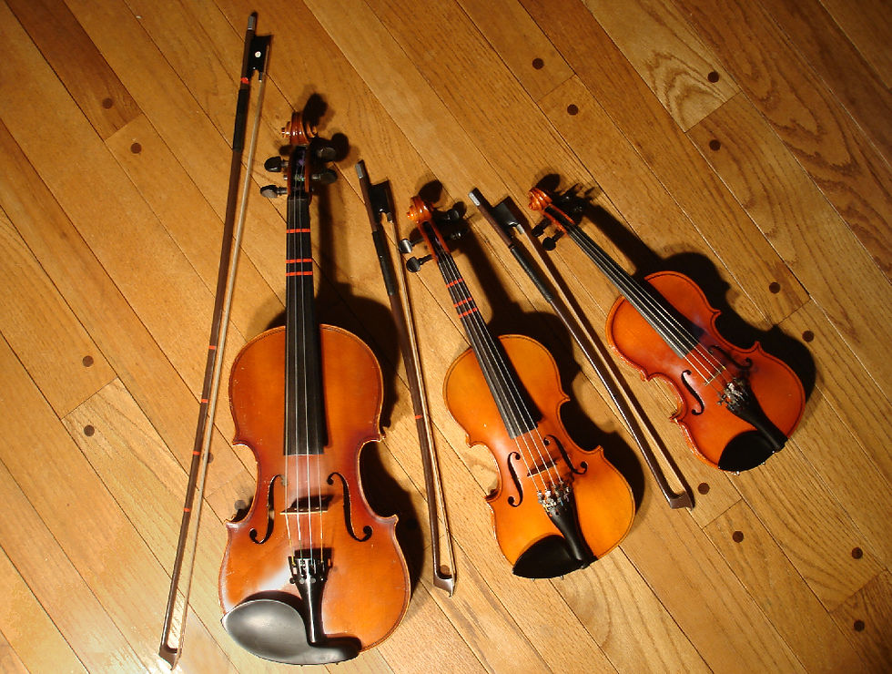 Violin5.jpg