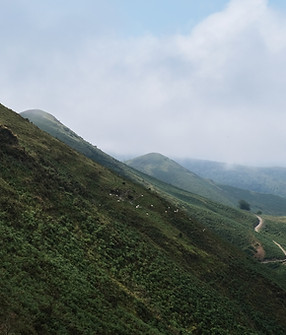 Randonnée_rhune_pays_basque.jpg