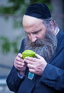 מיין באזוך ביים אתרוג סוחר