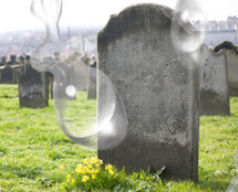 א טרער אויפן פרישן קבר!