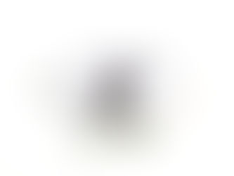 Osprey perched at Petite Camargue Alsacienne