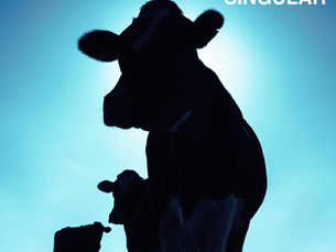 SINGÜLAR - Album release!