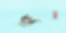 moved-wide-tracking.jpg