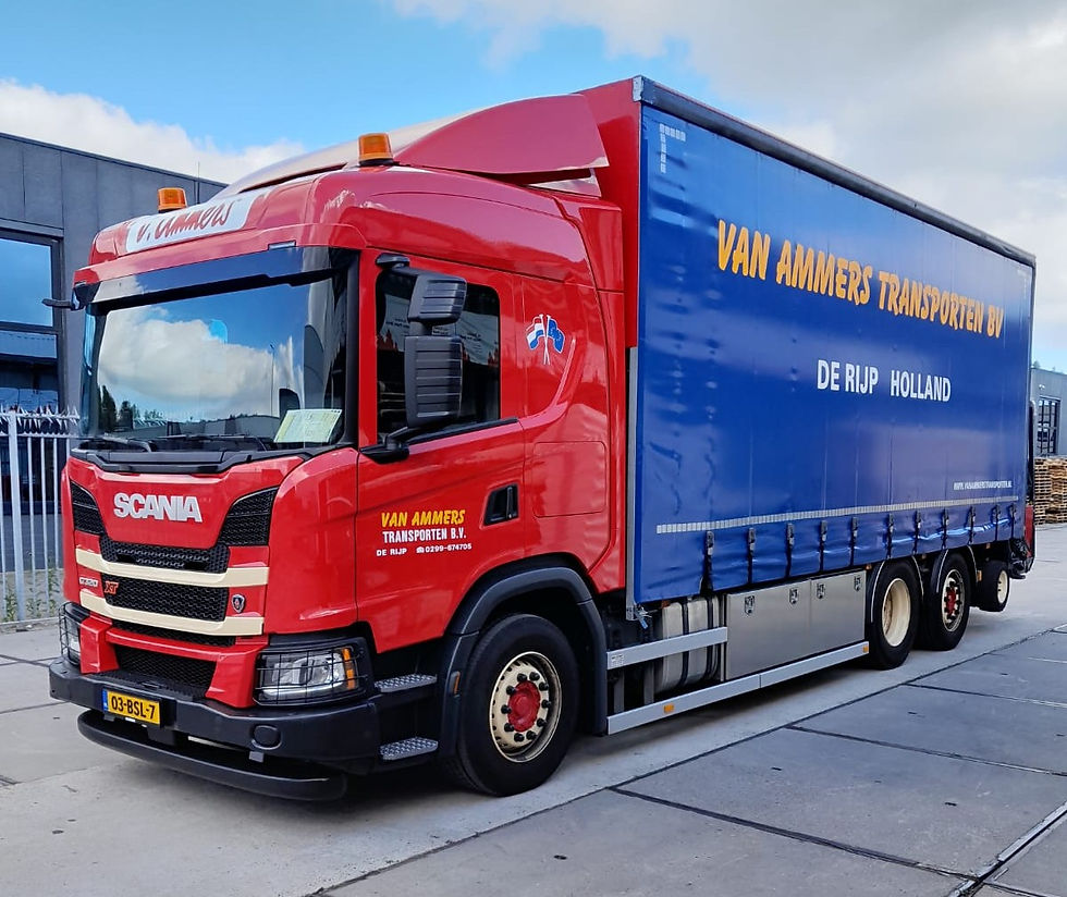 Copyright: W. van Ammers