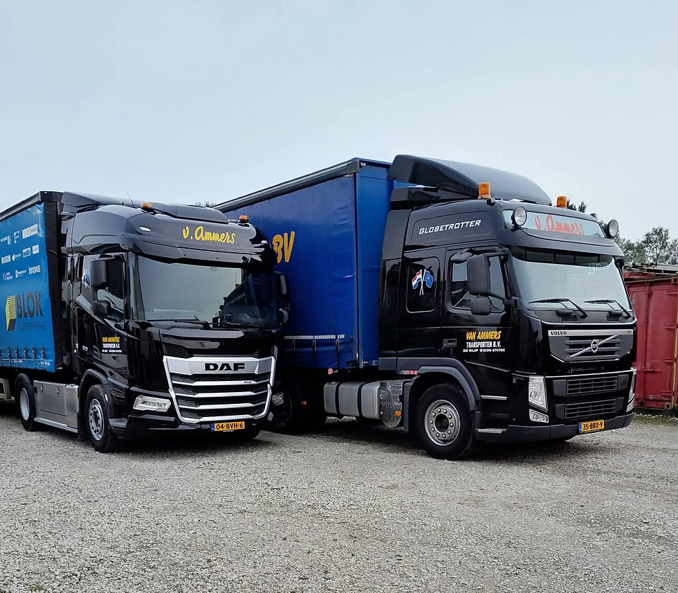 Copyright: J. van Ammers