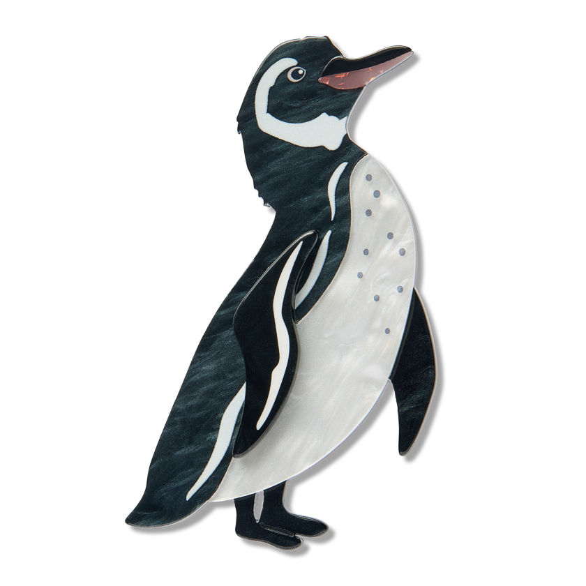 Rarest - Galapagos Penguin Brooch