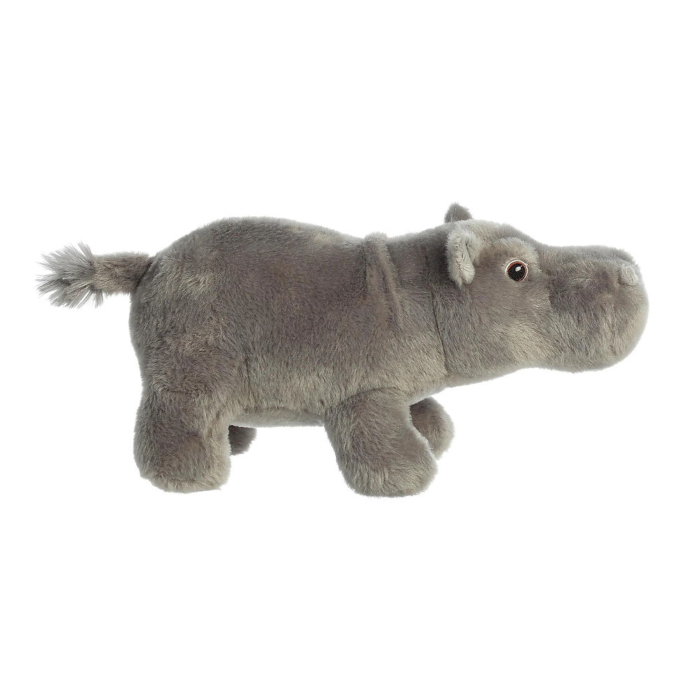 Thumbnail: Eco Nation - Hippopotamus