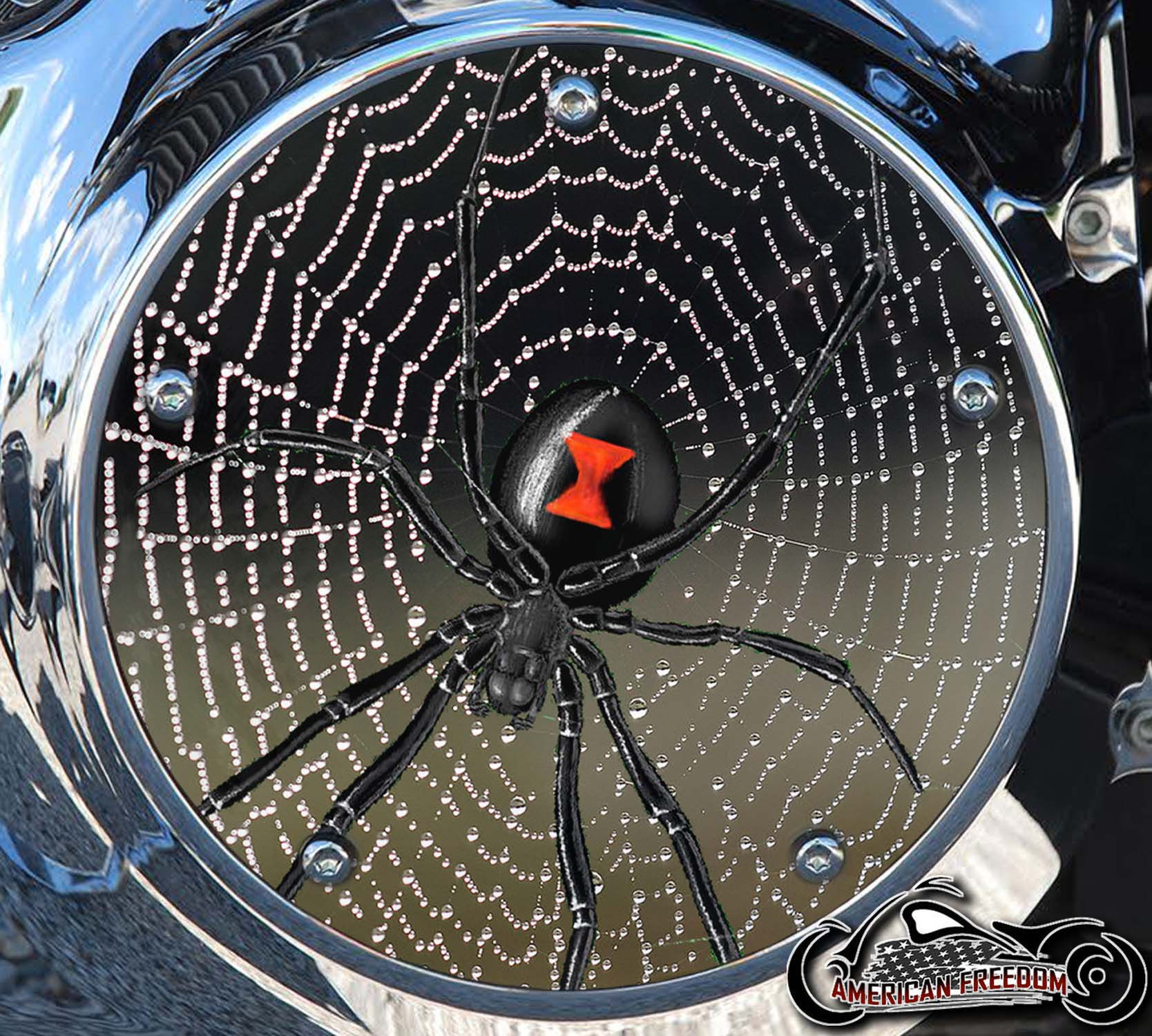 Black Widow Spiderweb design on a Harley Davidson 5 Hole Derby Cover