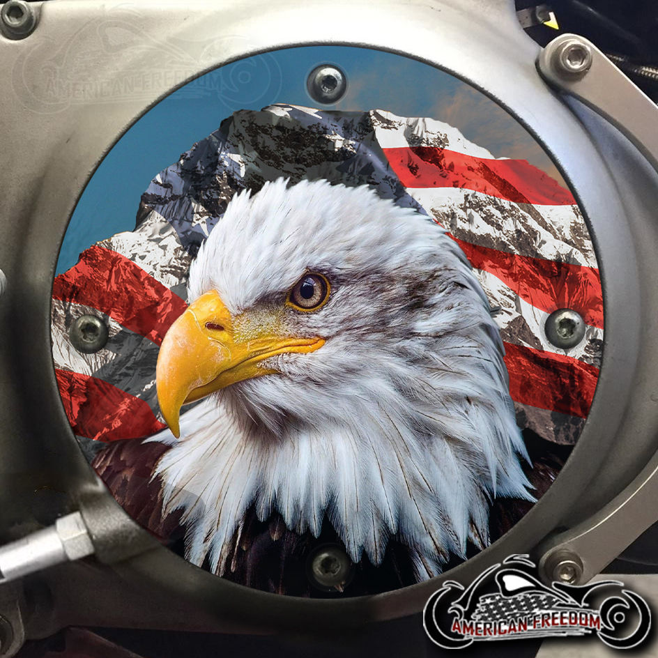 Thumbnail: American Mountain Eagle design on a Harley Davidson 4 Hole Sportster Derby