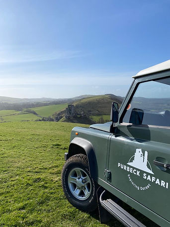 distant view of Corfe Castle and hills looking past Land Rover