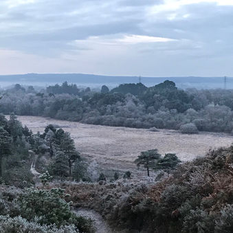 Wintry scene of forest and heathland from high viewpoint