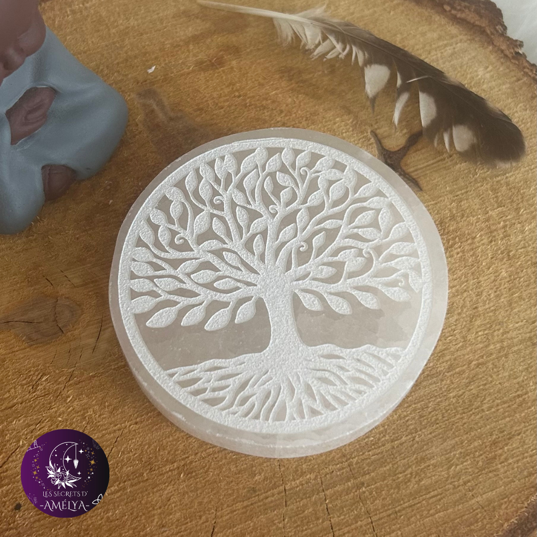 Plaque de sélénite