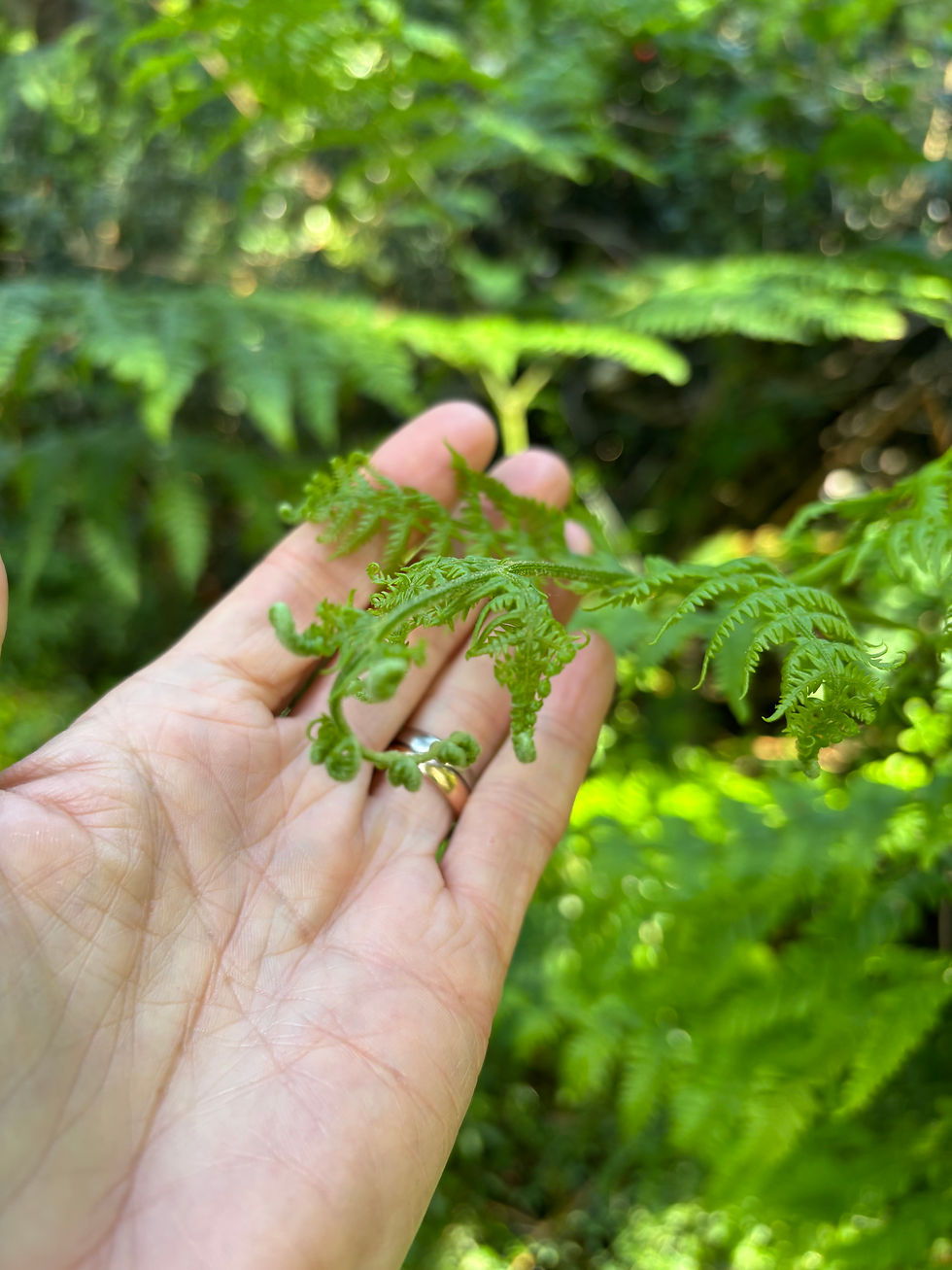 The UnFurling