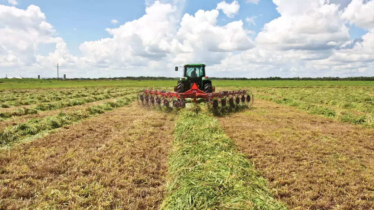 SR 300 Series Wheel Rake attached to tractor rear, in field