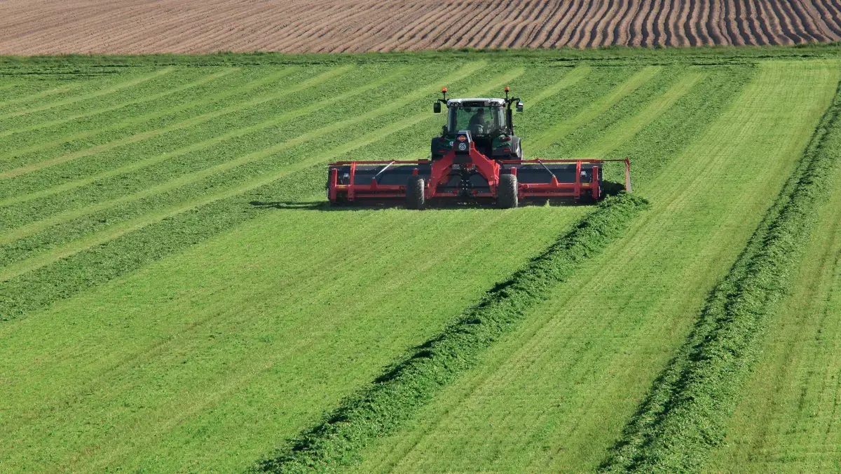 MM 950 & 1090 Center-Delivery Twin Merger s attached to tractor rear, in field