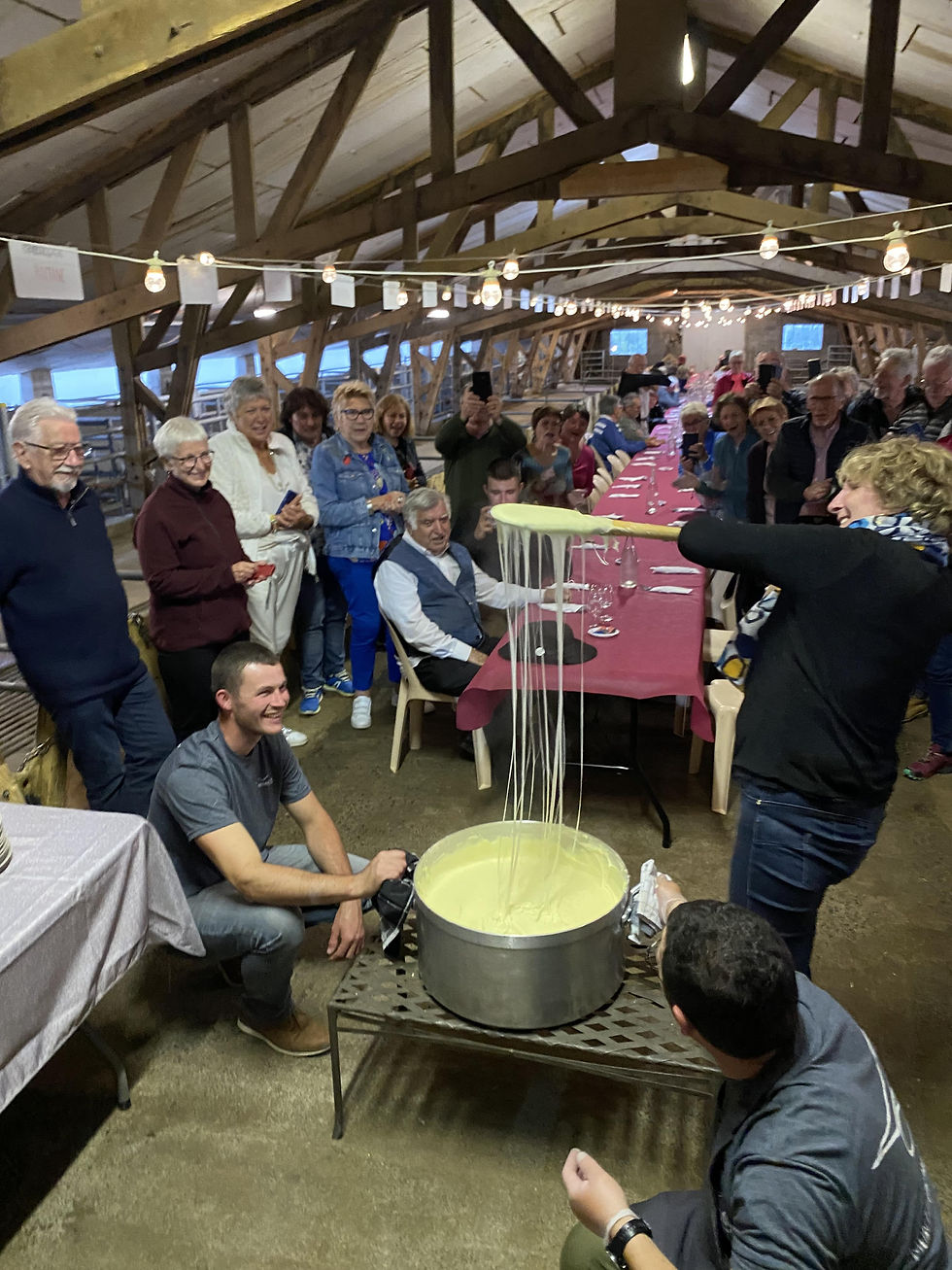 transhumance_montagnette_2023_1