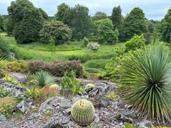 desert botanical garden on blarney castle grounds in ireland