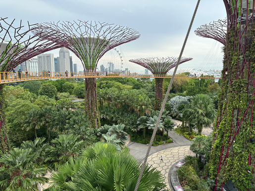 Singapore's Best Attraction is Gardens by the Bay