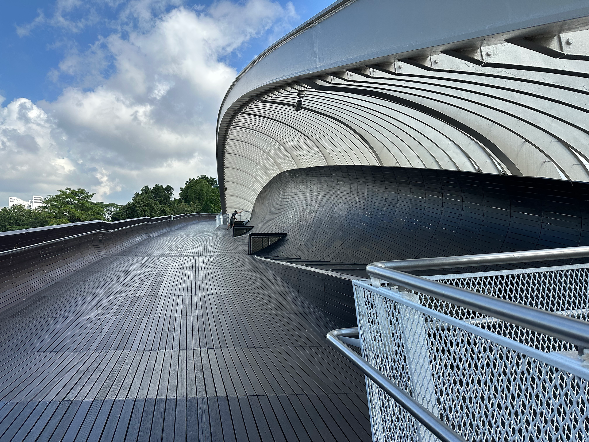 one of the henderson waves and boardwalk on southern ridges in singapore