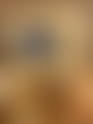 harmonicas exhibit at the musical instrument museum phoenix