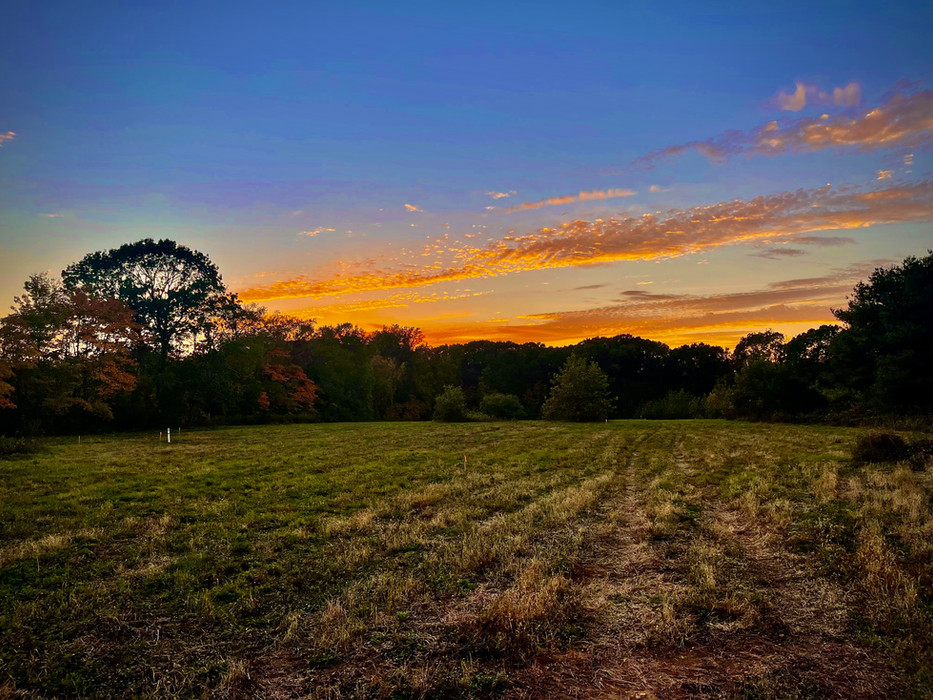 Sunset Ridge Estates Panico Design Northford, CT