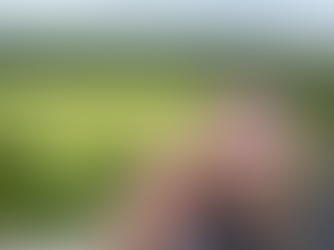 view of cows from atop blarney castle ireland