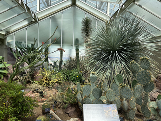princess of wales conservatory at kew gardens london