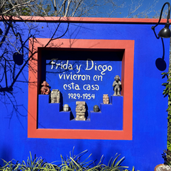 blue wall in fridas garden in the tucson botanical garden