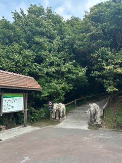 elephants at the entrance to the hike at the summit of thailand doi inthanon national park
