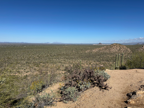 view off cliff of valley at end of valley view overlook trail in saguaro national park west tucson arizona
