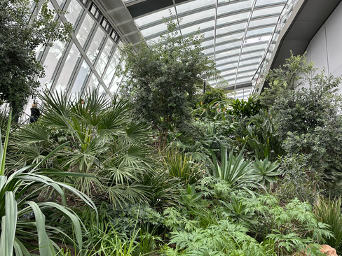 plants inside the sky garden