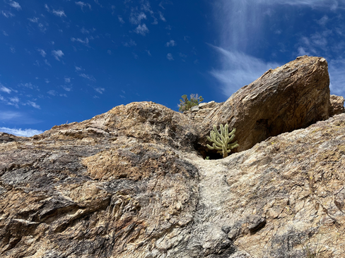 javelina rocks and blue sky in saguaro national park arizona