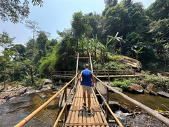 bamboo bridge over waterfall in doi inthanon national park in thailand