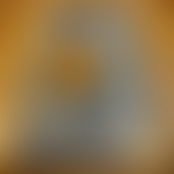 deconstructed stratocaster guitar shown in glass case at the musical instrument museum phoenix