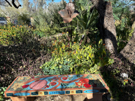 colorful ceramic bench in tucson botanical garden