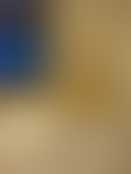 Mechanical song bird from Switzerland display at the musical instrument museum in phoenix az