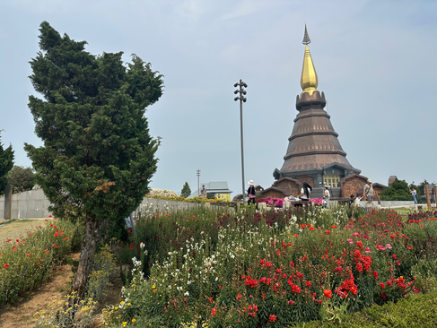king pagoda view from garden with flowers in thailand