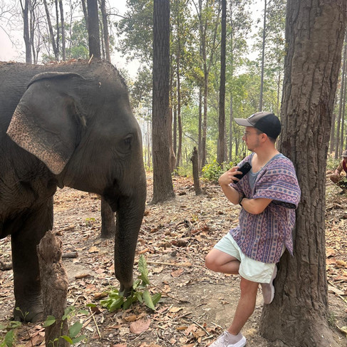 face off between me and a mother asian elephant in woods of doi inthanon national park in thailand